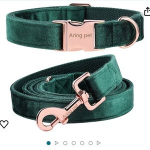 Xl Aring velvet collar and leash